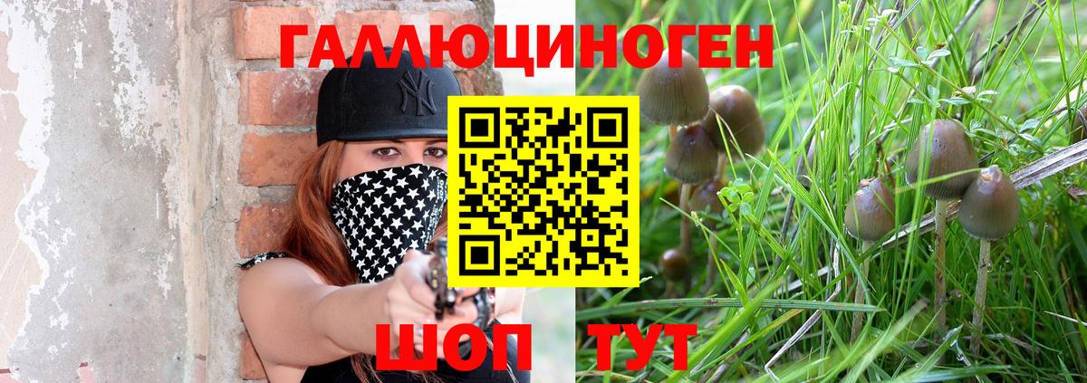 Галлюциногенные грибы GOLDEN TEACHER  Галлюциногенные грибы Psilocybe  цены   Вход с VPN  Хабаровск 