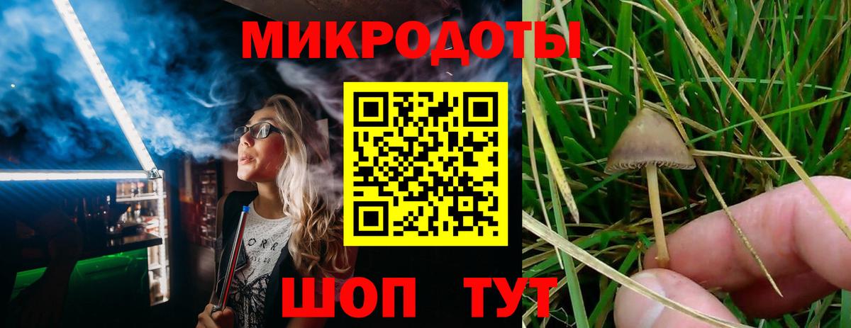 Псилоцибиновые грибы Psilocybine cubensis Хабаровск